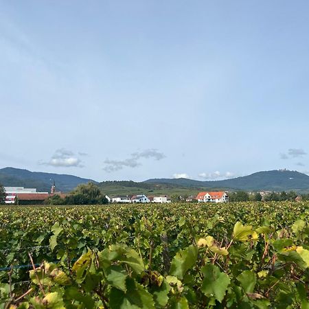 Oasis Tout Confort A Bergheim, Alsace Экстерьер фото