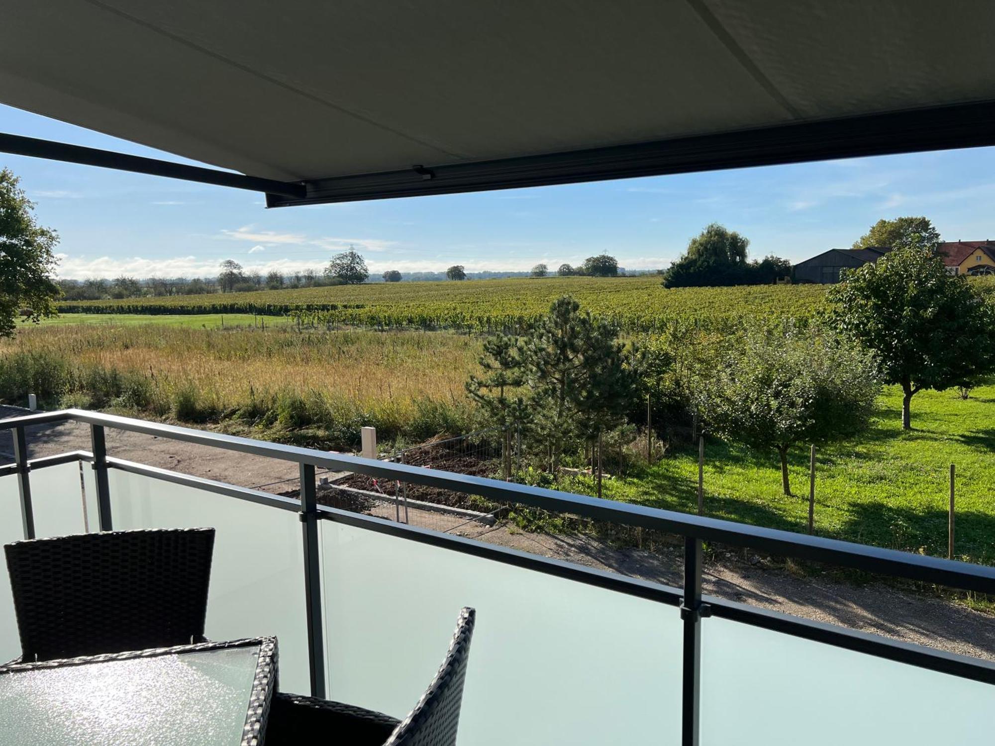 Oasis Tout Confort A Bergheim, Alsace Экстерьер фото